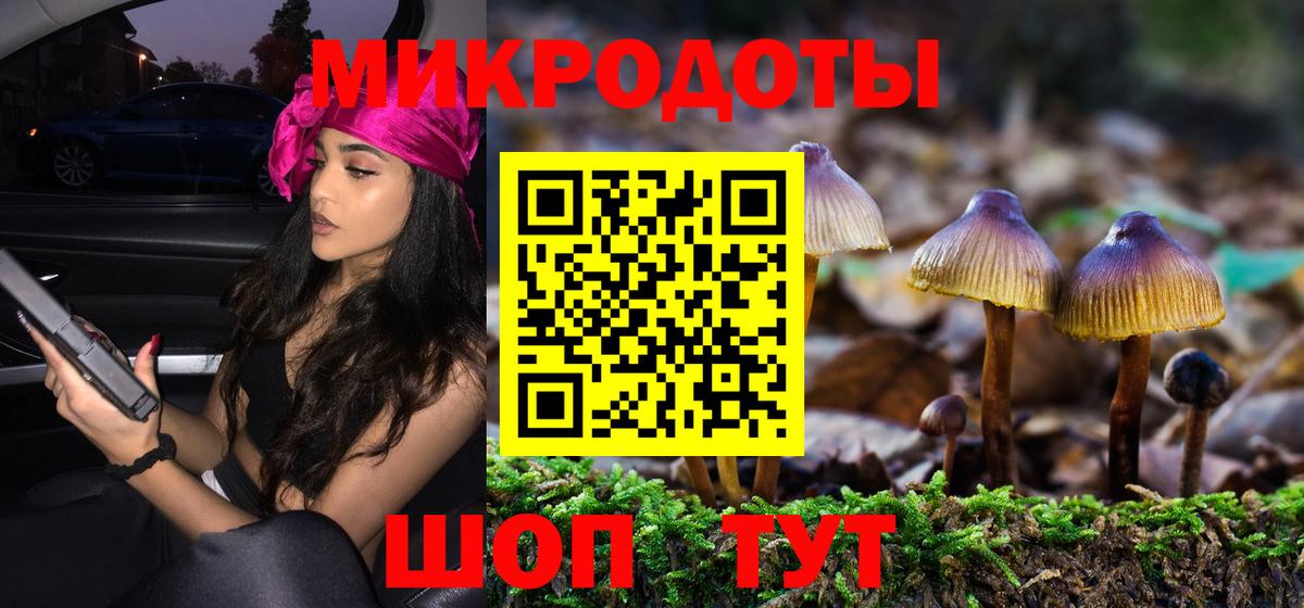 Псилоцибиновые грибы Cubensis  Вход с VPN  Галлюциногенные грибы Psilocybe  Муром 